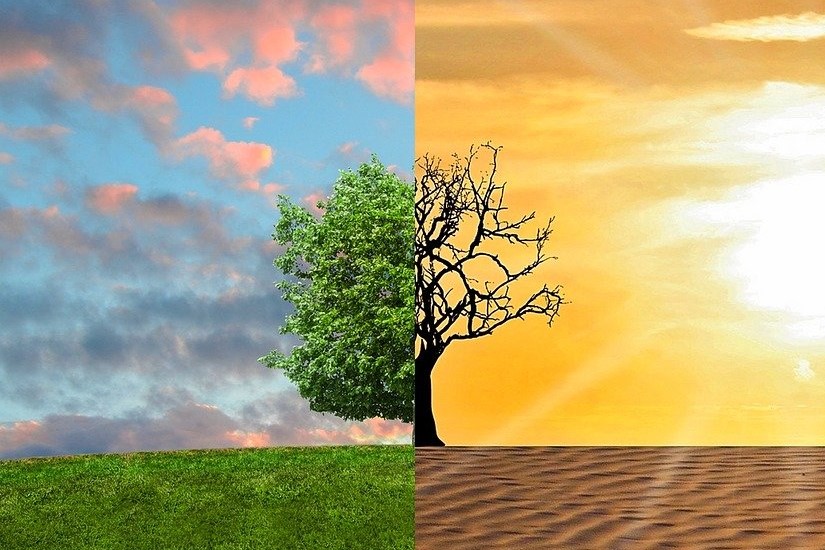Erzeugt die Klimakleber-Bewegung innere Widersprüche?