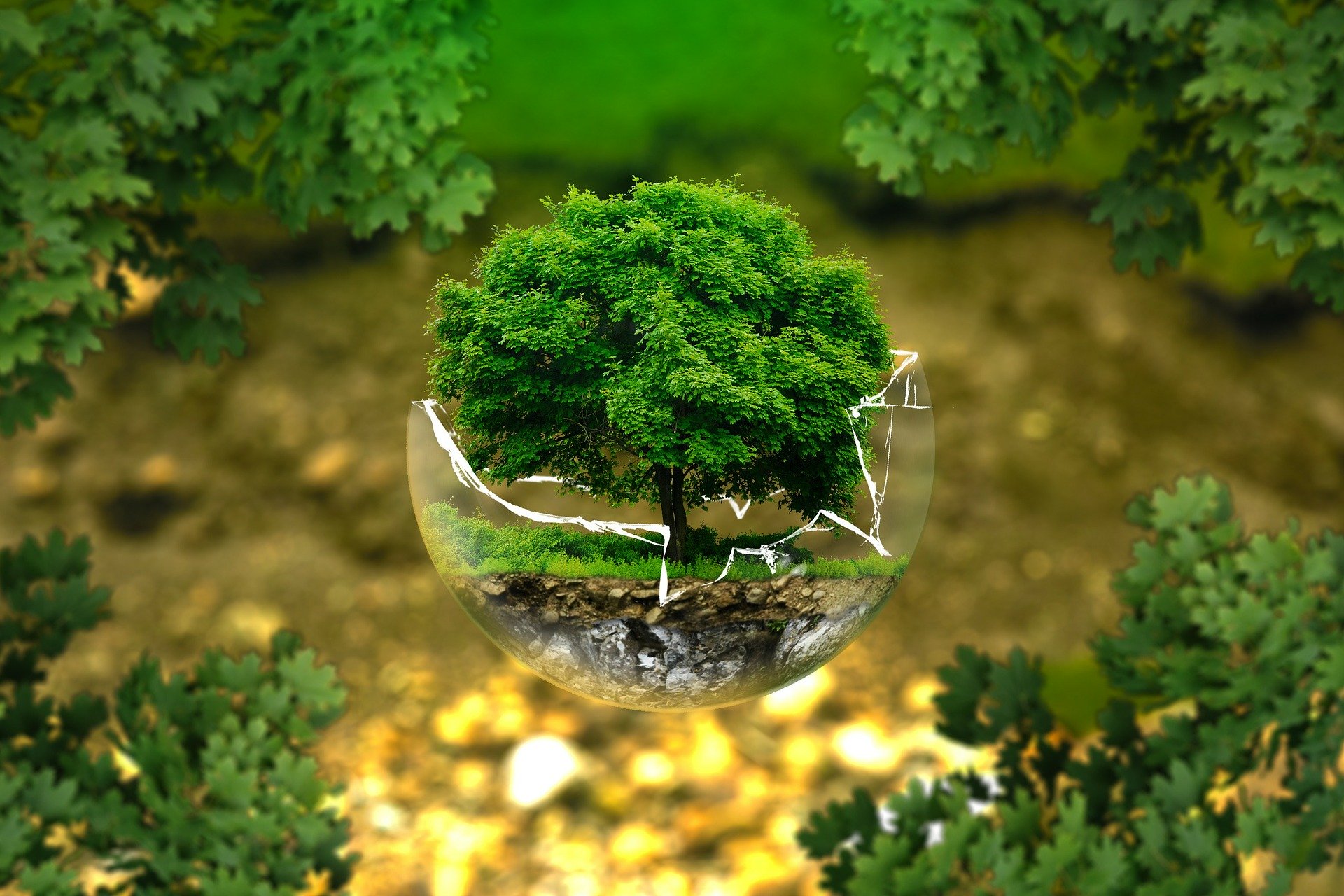 Klimabesorgnis-Monitor